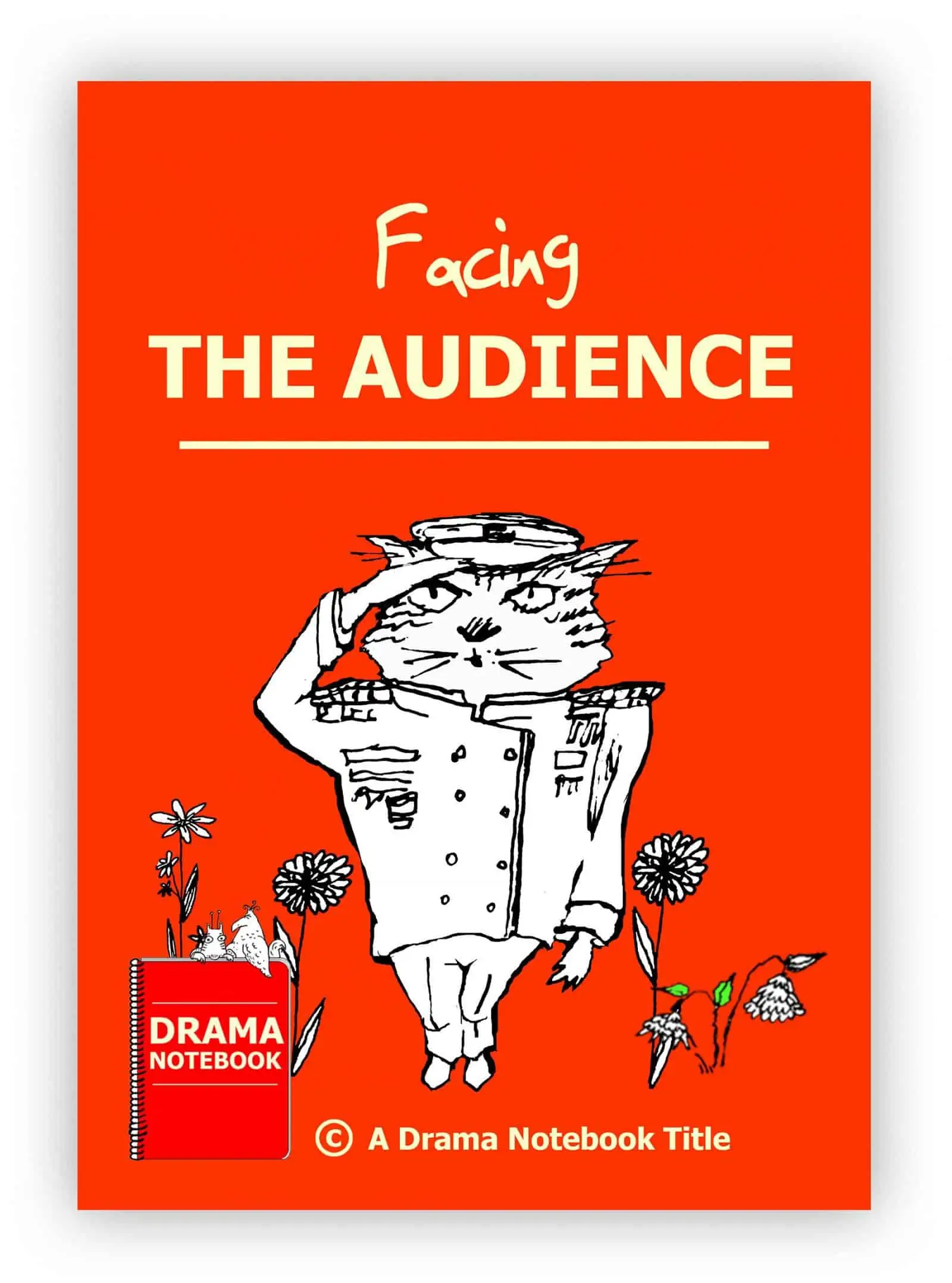 Facing the Audience Drama Lesson